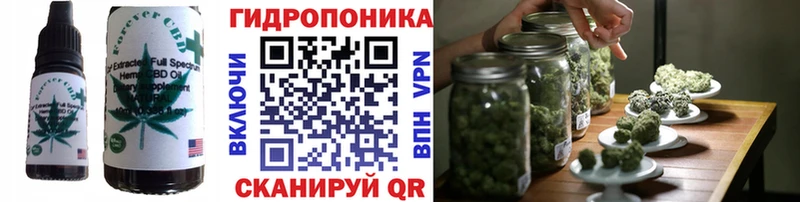 Canna-Cookies марихуана  Купить закладки  Новоульяновск 