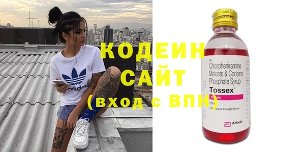 индика Инта