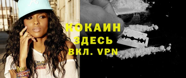 индика Инта