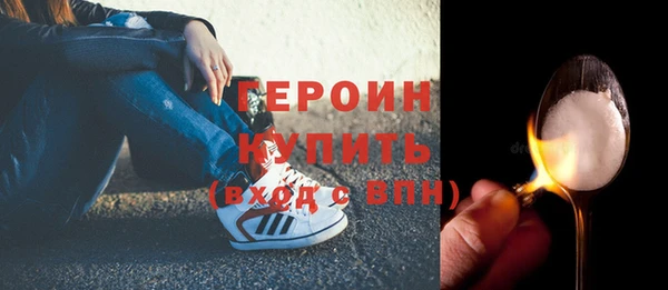 индика Инта