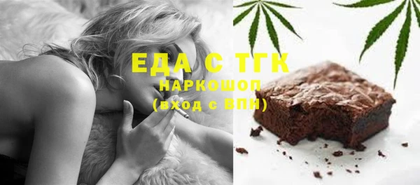 индика Инта
