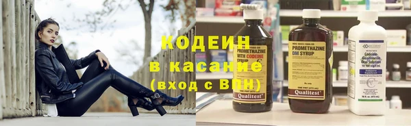 индика Инта