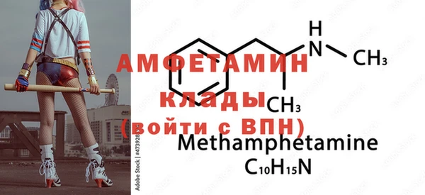 индика Инта