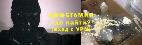 индика Инта