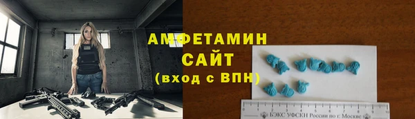 индика Инта
