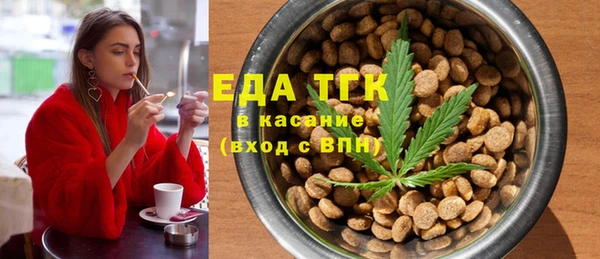 индика Инта