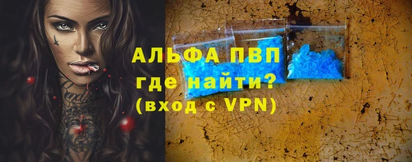 индика Инта
