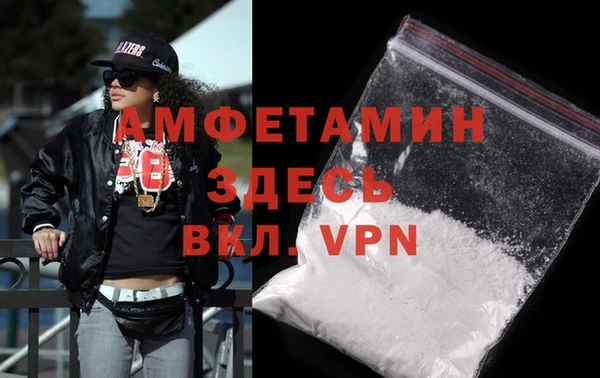 индика Инта