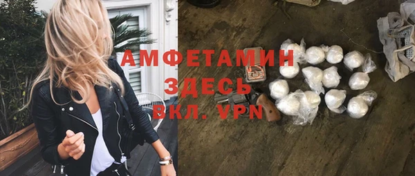 индика Инта