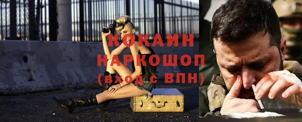 индика Инта