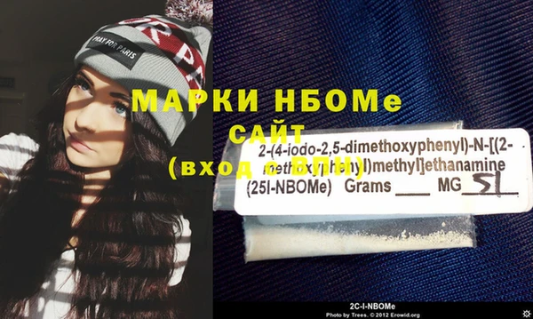 индика Инта