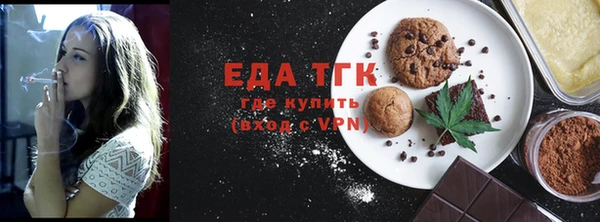 индика Инта