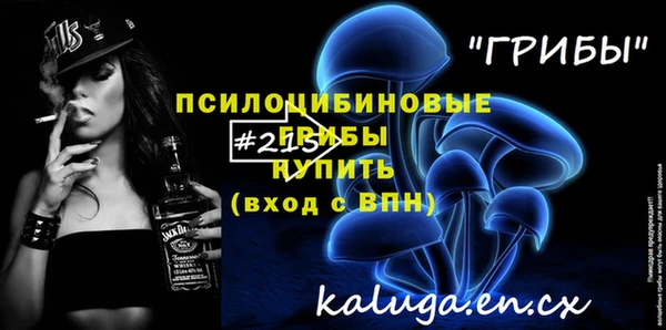 индика Инта