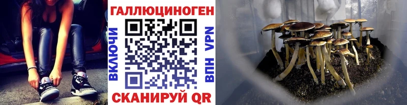 Купить закладки  Новоульяновск  Галлюциногенные грибы Magic Shrooms 